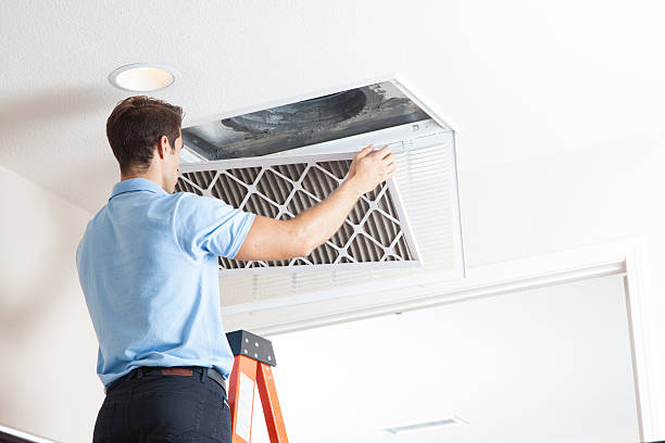 Best Air Filters and Purifiers in Homer, LA
